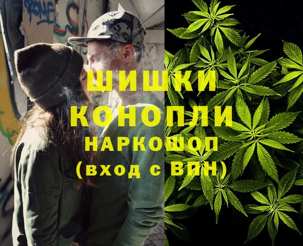 эйфоретик Аркадак